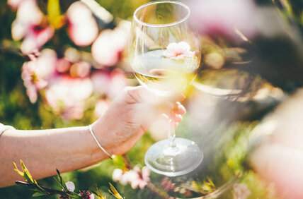 Eine Person hält ein Glas Wein vor einem blühenden Baum.