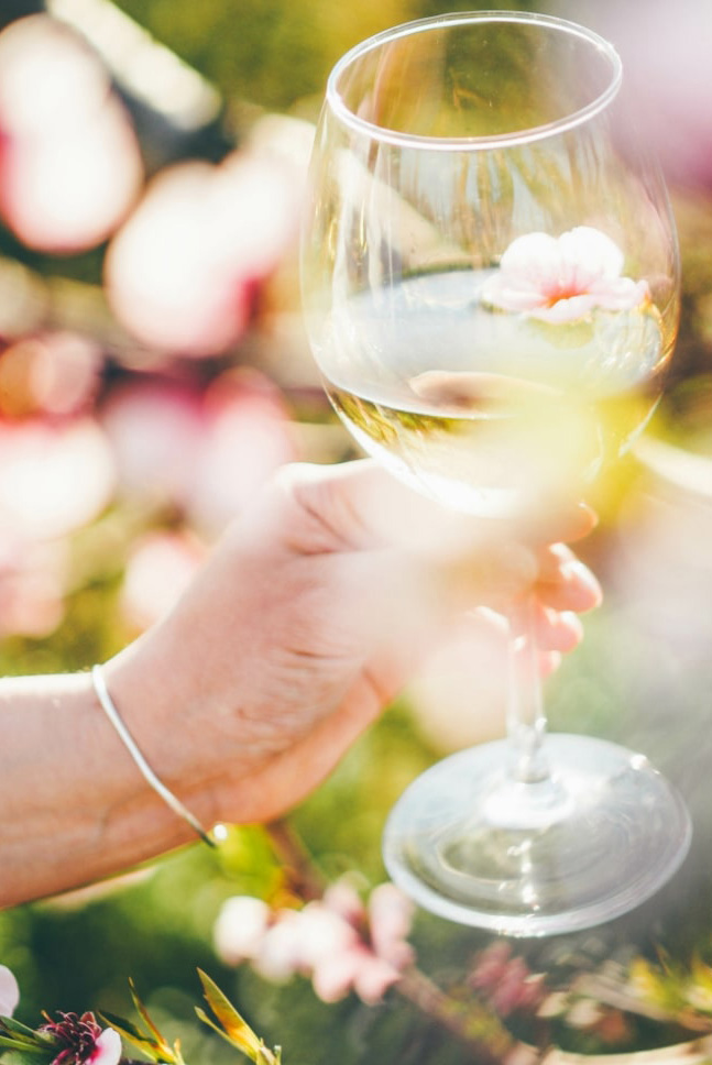 Eine Person hält ein Glas Wein vor einem blühenden Baum.